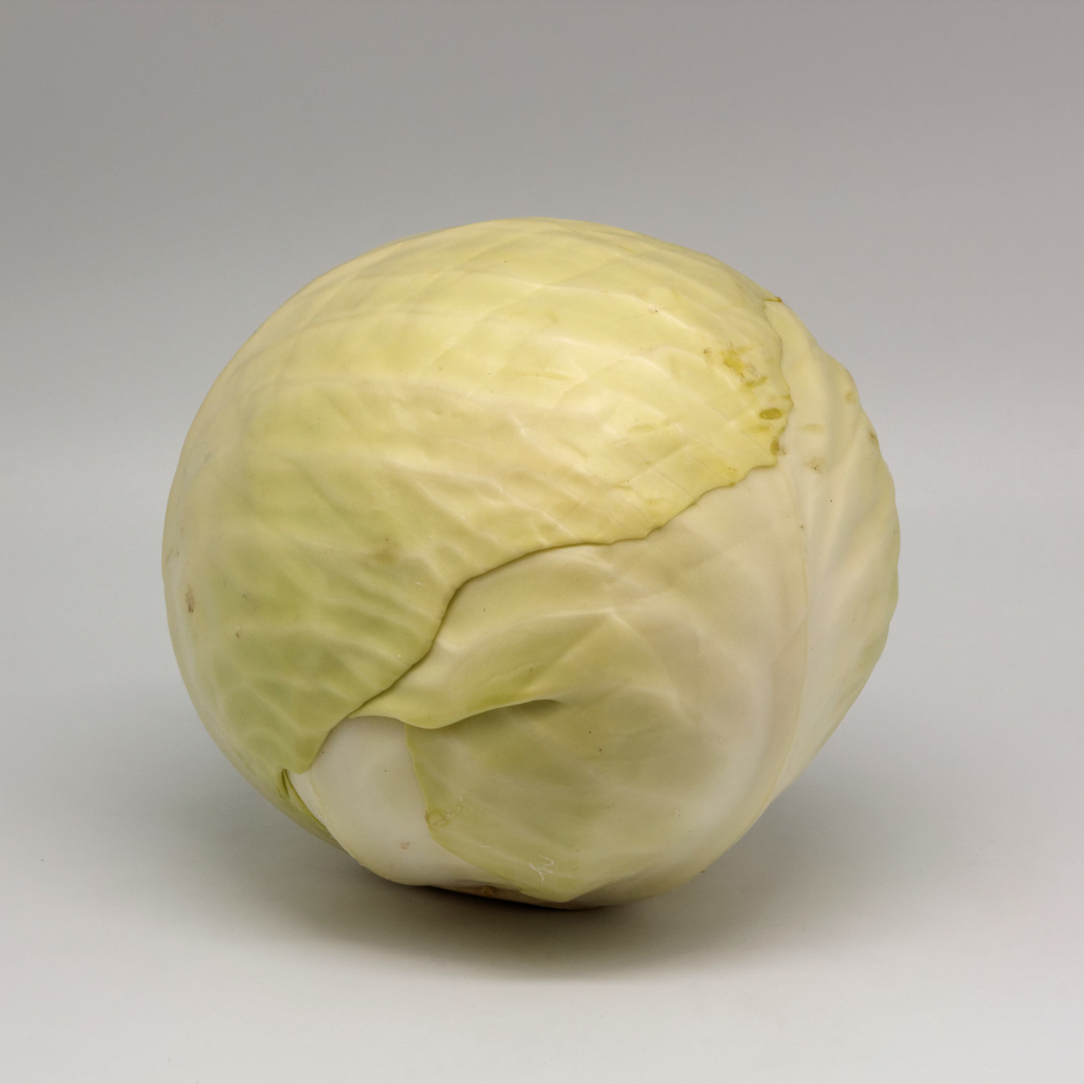 How to Grow Cabbage: Complete Guide