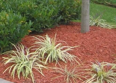 Mulching Your Garden: A Complete Guide