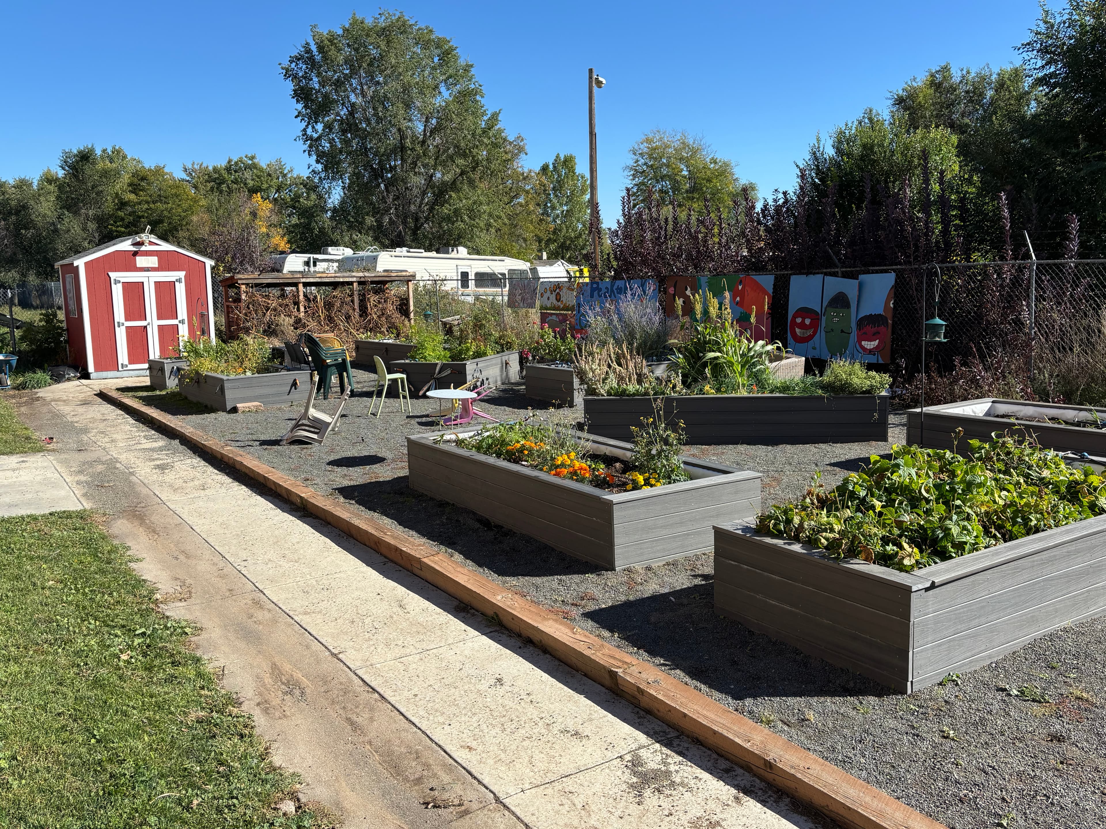 Square Foot Gardening: A Beginner's Guide